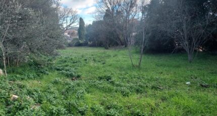 Camps-la-Source Terrain à bâtir - 2446958-5922annonce220260304ZXcHl.jpeg Maisons Open