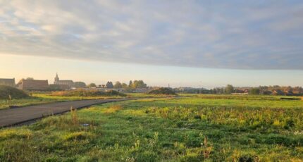 Monchecourt Terrain à bâtir - 2417347-11632annonce2202602037D3g3.jpeg Maisons Open