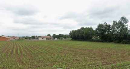 Labarthe-Rivière Terrain à bâtir - 2449874-6043annonce120260306TLEWe.jpeg Maisons Open