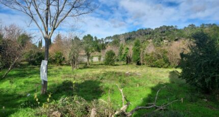 Carnoules Terrain à bâtir - 2451806-11137annonce120260310v8xK7.jpeg Maisons Open