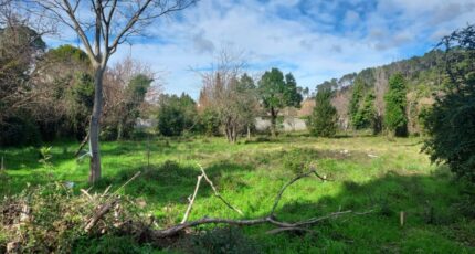 Carnoules Terrain à bâtir - 2451806-11137annonce320260310UrOOf.jpeg Maisons Open