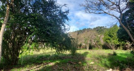 Carnoules Terrain à bâtir - 2451806-11137annonce420260310Xg9AR.jpeg Maisons Open