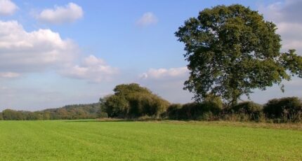 Saint-Léger-en-Yvelines Terrain à bâtir - 2413341-10686annonce120251010racbv.jpeg Maisons Open