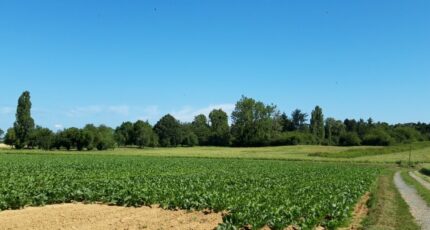 Boullay-les-Troux Terrain à bâtir - 2419608-10686annonce220250620vxbLC.jpeg Maisons Open