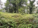  2419618-10686annonce120250624UVlu0.jpeg Maisons Open