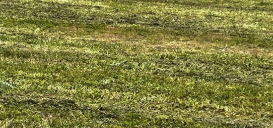 Terrain à bâtir à Tesson, Nouvelle-Aquitaine