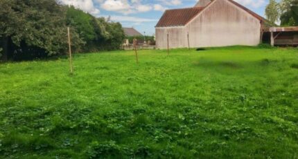 Presles-en-Brie Terrain à bâtir - 2382859-11657annonce120260106g4cmi.jpeg Maisons Open