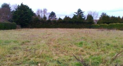 Presles-en-Brie Terrain à bâtir - 2413387-11657annonce220260130e8kOv.jpeg Maisons Open