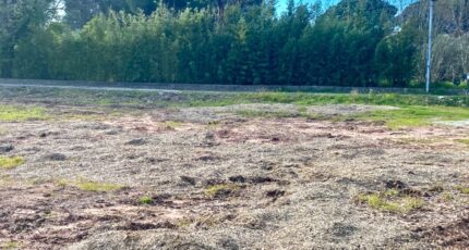 Puget-sur-Argens Terrain à bâtir - 2453111-5826annonce220260311lR77T.jpeg Maisons Open