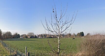 Potelle Terrain à bâtir - 2453458-10863annonce2202603115HXdz.jpeg Maisons Open