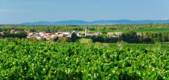 Terrain à bâtir à , Hérault