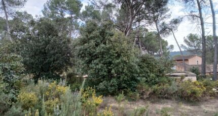 Ventabren Terrain à bâtir - 2455293-11680annonce120260312zBTaP.jpeg Maisons Open