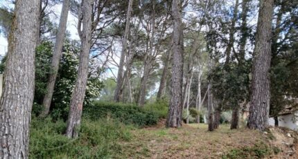 Ventabren Terrain à bâtir - 2455293-11680annonce520260312mODqG.jpeg Maisons Open