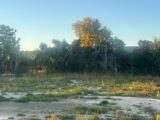  2455654-11073annonce4202603125WCAL.jpeg Maisons Open
