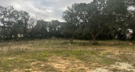 Bollène Terrain à bâtir - 2455729-6150annonce120260313fZHA8.jpeg Maisons Open