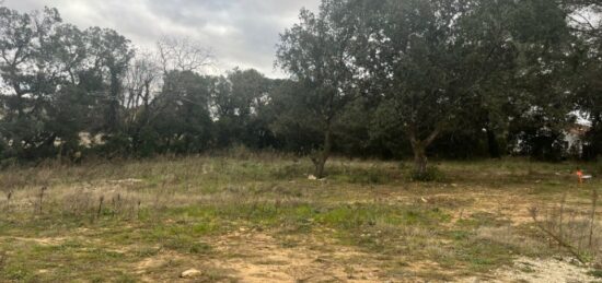 Terrain à bâtir à Bollène, Provence-Alpes-Côte d'Azur