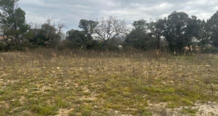 Bollène Terrain à bâtir - 2455729-6150annonce420260313vytRW.jpeg Maisons Open