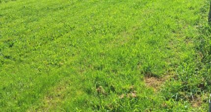 La Ville-Dieu-du-Temple Terrain à bâtir - 2388725-3575annonce120260112MkuWH.jpeg Maisons Open