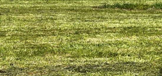 Terrain à bâtir à Saint-Hilaire-de-Villefranche, Nouvelle-Aquitaine