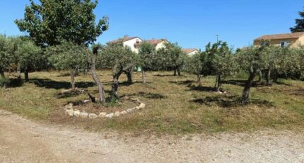 Aubignan Terrain à bâtir - 2456219-695annonce4202603136C3EP.jpeg Maisons Open