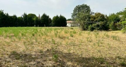 Montaigut-sur-Save Terrain à bâtir - 2451398-10327annonce120260309pH34R.jpeg Maisons Open