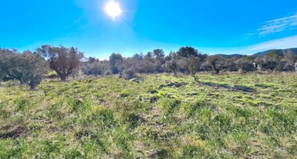 Bagnols-en-Forêt Terrain à bâtir - 2424697-11157annonce120260211PpEFp.jpeg Maisons Open