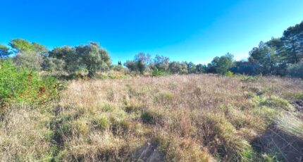 Bagnols-en-Forêt Terrain à bâtir - 2424697-11157annonce2202602114rHTF.jpeg Maisons Open