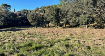 Taradeau Terrain à bâtir - 2390964-4866annonce4202601131VKtQ.jpeg Maisons Open