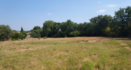 Puget-sur-Argens Terrain à bâtir - 2385415-11137annonce420250730AVnuV.jpeg Maisons Open