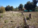  2390164-11137annonce220260112EI28m.jpeg Maisons Open