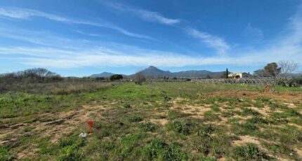 La Crau Terrain à bâtir - 2424225-11077annonce320260316Dla1Q.jpeg Maisons Open