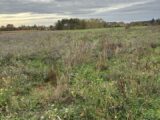  2427425-936annonce120260212h7ovm.jpeg Maisons Open
