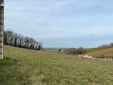  2456772-2684annonce2202603134ppJI.jpeg Maisons Open