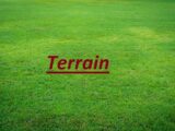  2423796-10817annonce120260210RlE94.jpeg Maisons Open