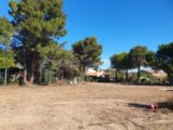  2386096-665annonce1202601083U119.jpeg Maisons Open