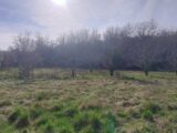 2458069-5100annonce120260316mzGGW.jpeg Maisons Open
