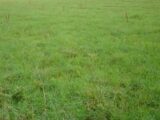  2459027-1153annonce120240719SlC9a.jpeg Maisons Open