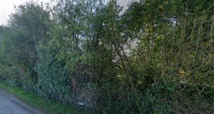 Mézy-sur-Seine Terrain à bâtir - 2428845-10686annonce320251022omalW.jpeg Maisons Open