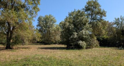 Châteauneuf-Grasse Terrain à bâtir - 2393068-9270annonce320250113yyi2l.jpeg Maisons Open