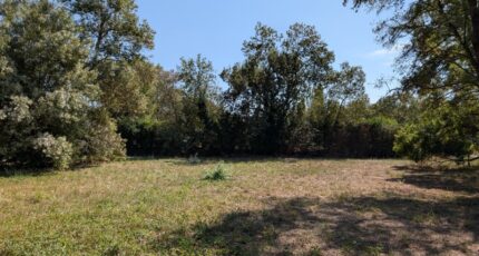 Châteauneuf-Grasse Terrain à bâtir - 2393068-9270annonce220250113H3irG.jpeg Maisons Open