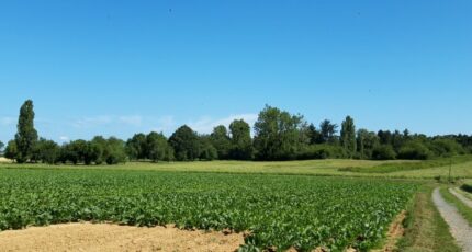 Boullay-les-Troux Terrain à bâtir - 2459314-10686annonce120251124AJ1IB.jpeg Maisons Open