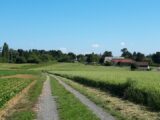  2459314-10686annonce220251124CIvI4.jpeg Maisons Open