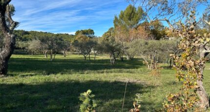 Flayosc Terrain à bâtir - 2393921-3951annonce220260115So88x.jpeg Maisons Open