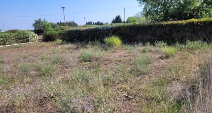 Toulouges Terrain à bâtir - 2460100-4671annonce120260318xsJhE.jpeg Maisons Open