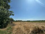  2460601-3243annonce120260318dazMl.jpeg Maisons Open