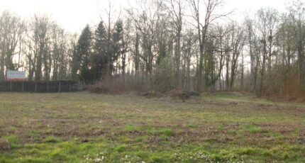 Serris Terrain à bâtir - 2429636-4353annonce120260215UoWH6.jpeg Maisons Open