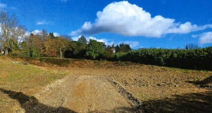 Aigrefeuille Terrain à bâtir - 2458486-5771annonce120260317fwdgC.jpeg Maisons Open