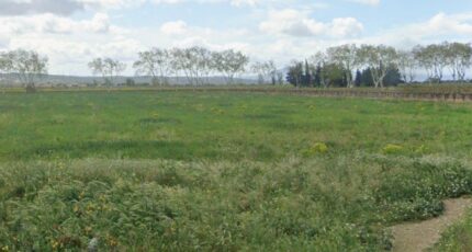 Olonzac Terrain à bâtir - 2461957-692annonce120260319mZ4wI.jpeg Maisons Open