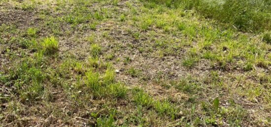 Terrain à bâtir à , Charente-Maritime