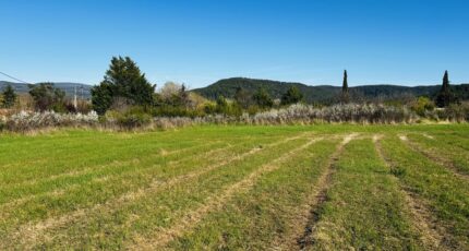 Salernes Terrain à bâtir - 2462927-4529annonce320260320nOeoF.jpeg Maisons Open